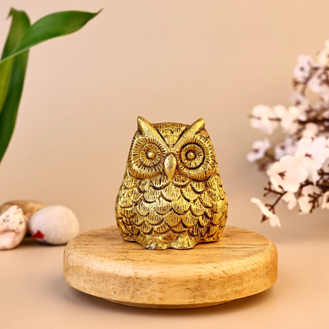 Owl – Symbol of Wisdom, Wealth & Protection